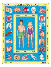 Детски пъзел Larsen: Човешкото тяло, 35 части