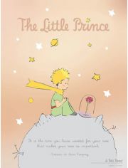 Мини плакат The Little Prince