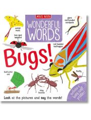 Wonderful Words: Bugs!