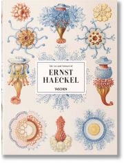 Haeckel