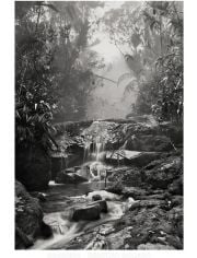 Sebastiаo Salgado. Amazônia. Poster ‘Creek’