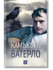 Камъкът от Ватерло