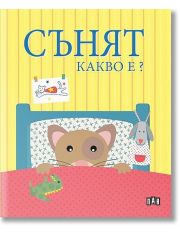 Сънят. Какво е?