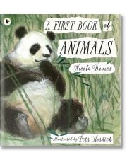 A First Book of Animals