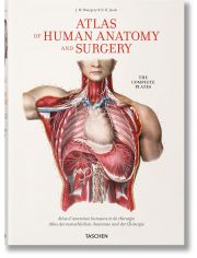 Atlas of Human Anatomy and Surgery