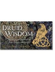 Druid Wisdom