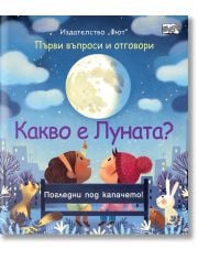 Какво е Луната? Първи въпроси и отговори