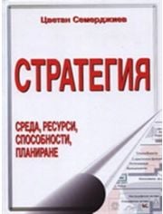 Стратегия