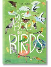 The Big Book of Birds