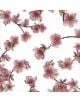 Картичка Japanese Cherry Blossom - Busquets - Busquets Gruart - 0402318293-thumb