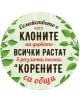 Табелка-картичка - Семейство - Simetro - Simetro books - 2521010204144-thumb