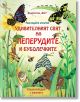 Разгледайте отвътре! Удивителният свят на пеперудите и буболечките - Фют - 3800083831877-thumb