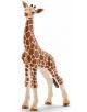 Фигурка Schleich: Жираф мрежест, бебе - Schleich - Schleich - Момиче, Момче - Schleich - Wild life - 4005086147515-thumb