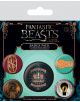 Значки Fantastic Beasts - Grupo Erik - Harry Potter - 5050293805726-thumb