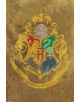 Макси плакат Pyramid - Harry Potter (Hogwarts Crest) - Pyramid - Pyramid - Harry Potter - 5050574332804-thumb