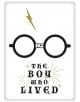 Магнит Harry Potter - The Boy Who Lived - Half Moon Bay - Grupo Erik - Harry Potter - 5055453477294-thumb