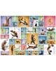 Пъзел Eurographics - Йога котки, 1000 части - EuroGraphics - EuroGraphics - Жена, Момиче - Eurographics - Yoga Dogs & Cats - 628136609531-3-thumb