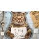 Пъзел Eurographics - Felony Cat, 500 части - EuroGraphics - EuroGraphics - 628136657860-2-thumb