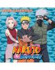 Календар Grupo Erik - Naruto, 2025 година - Grupo Erik - GRUPO ERIK EDITORES S.L. - Момиче, Момче - 8435747805274-1-thumb