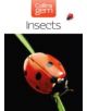 Insects - 9780007146246-thumb