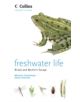 Freshwater Life - 9780007177776-thumb