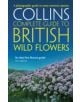 British Wild Flowers - 9780007236848-thumb