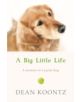 A Big Little Life - 9780007336821-thumb