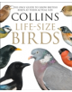 Collins Life-Size Birds - 9780008181116-thumb