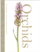 Orchids - 9780008210694-thumb