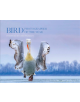 Bird Photographer of the Year - 9780008336196-thumb