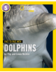 Face to Face with Dolphins - 9780008358020-thumb