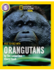 Face to Face with Orangutans - 9780008358075-thumb