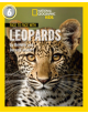 Face to Face with Leopards - 9780008358167-thumb