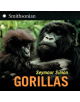 Gorillas - 9780060891015-thumb