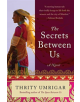 The Secrets Between Us - 9780062442215-thumb