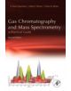 Gas Chromatography and Mass Spectrometry: A Practical Guide - 9780123736284-thumb