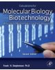 Calculations for Molecular Biology and Biotechnology - 9780123756909-thumb