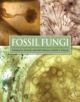 Fossil Fungi - 9780123877314-thumb