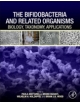 The Bifidobacteria and Related Organisms - 9780128050606-thumb