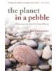 The Planet in a Pebble - 9780199645695-thumb