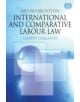 International and Comparative Labour Law - 9780230228221-thumb