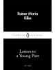 Letters to a Young Poet - 9780241252055-thumb