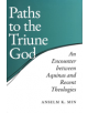 Paths to the Triune God - 9780268034894-thumb