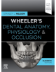 Wheeler's Dental Anatomy, Physiology and Occlusion - 9780323638784-thumb