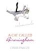 A Cat Called Birmingham - 9780340836071-thumb