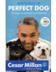 How to Raise the Perfect Dog - 9780340993071-thumb