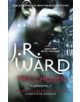 The Chosen - 9780349409191-thumb