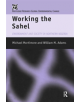 Working the Sahel - Taylor & Francis Ltd - 9780415140966-thumb