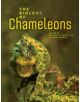 The Biology of Chameleons - 9780520276055-thumb