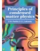 Principles of Condensed Matter Physics - 9780521794503-thumb